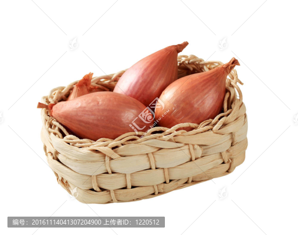 生洋蔥-匯圖網(wǎng) www.fosd68.com 生洋蔥