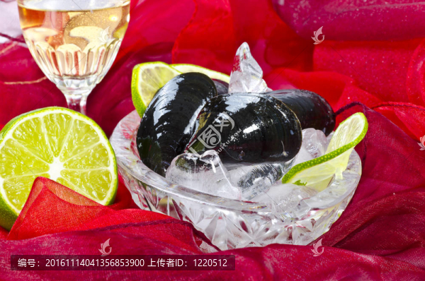 貽貝