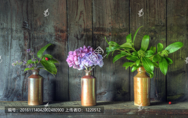 靜物畫(huà)的干燥花瓶在鄉(xiāng)村花瓶對(duì)風(fēng)化木背景