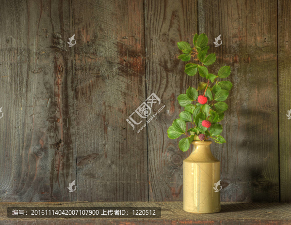 靜物畫的干燥花瓶在鄉(xiāng)村花瓶對風(fēng)化木背景