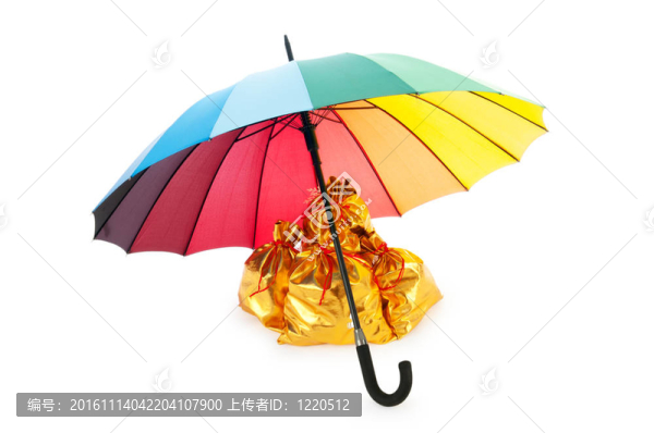 保護傘下的金麻袋