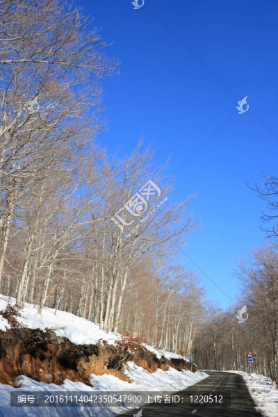 雪山路（Montseny；加泰羅尼亞；西班牙）