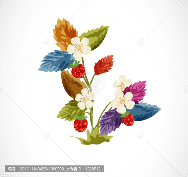 多彩的野草莓