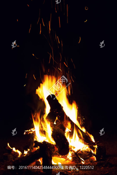 篝火燃燒的夜晚