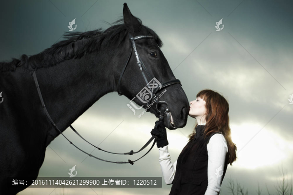美麗的年輕女子與黑馬
