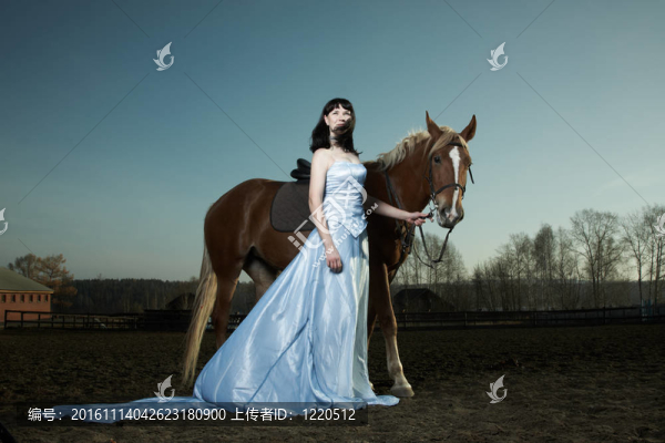 美麗的年輕女子與一匹棕色的馬