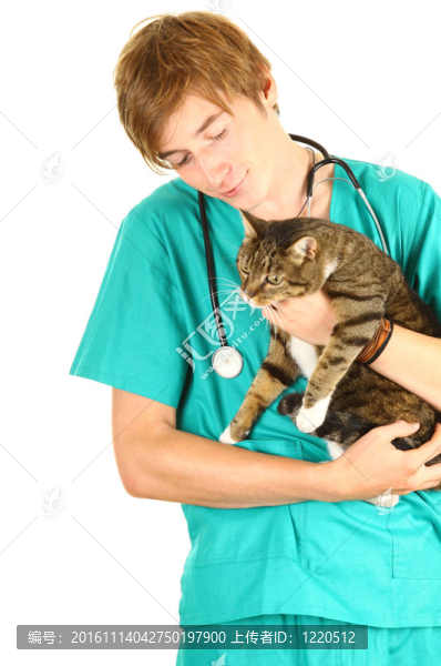 男性獸醫(yī)綠色防護服與貓手術