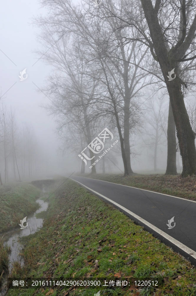 倫巴第霧中的溝渠與道路