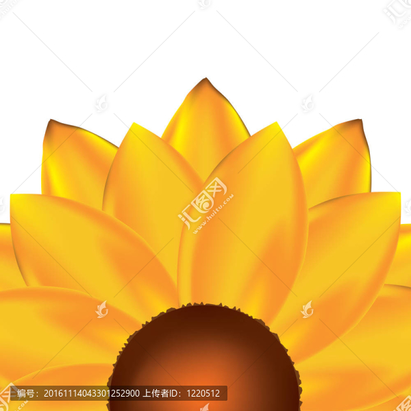 向日葵