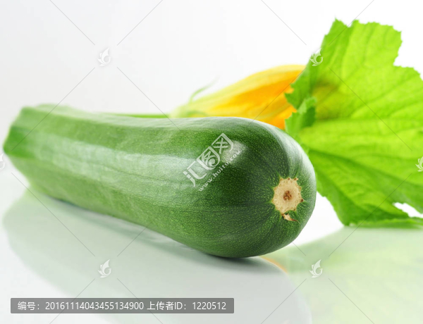西葫蘆