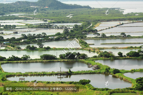 在中國(guó)的水稻梯田景觀