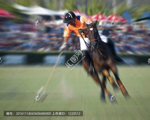 變焦馬球