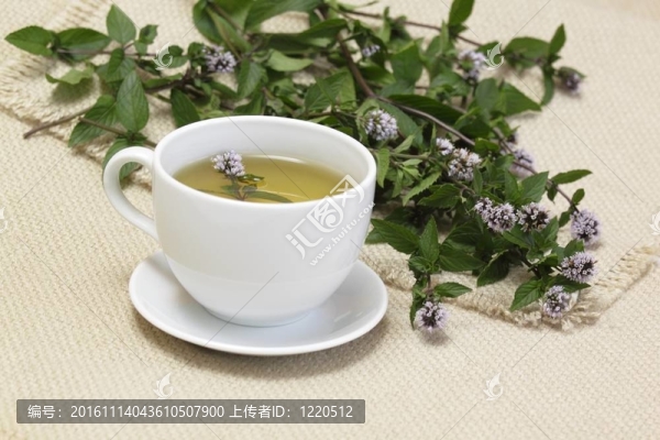 薄荷錫蘭茶/水薄荷/