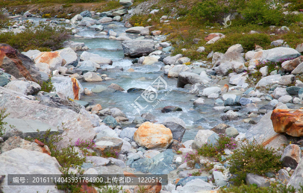小的高山河流