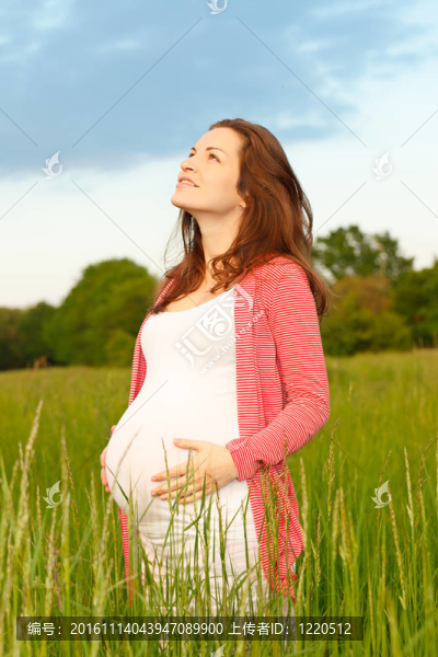 美麗孕婦的戶外畫像