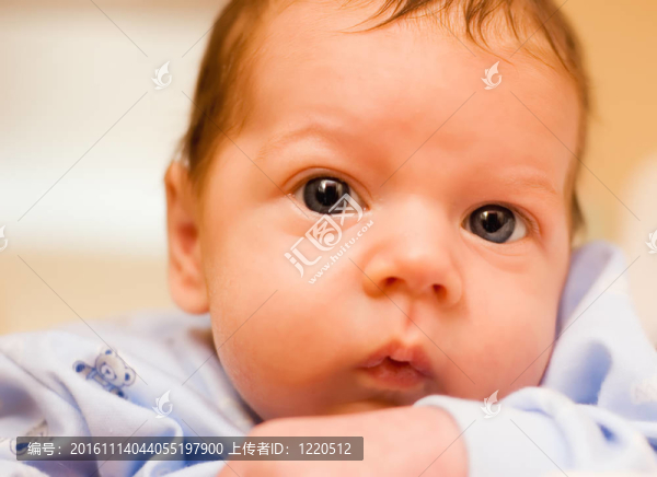 嬰兒畫(huà)像(淺自由度)-匯圖網(wǎng) www.fosd68.com 嬰兒畫(huà)像(淺自由度)