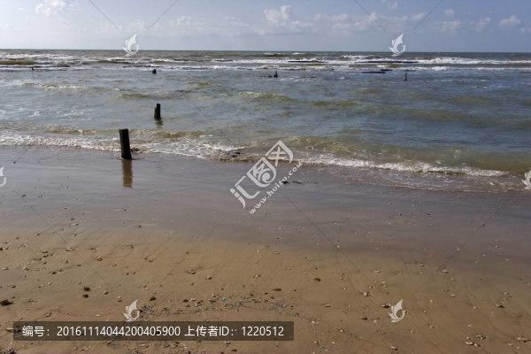 砂和海扇殼。