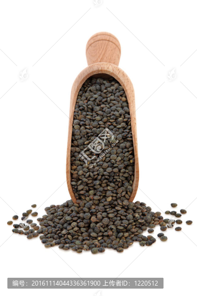 扁豆