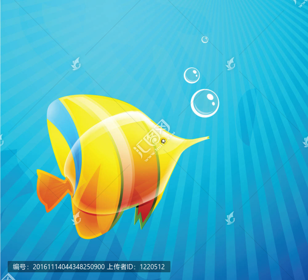 水中的熱帶魚