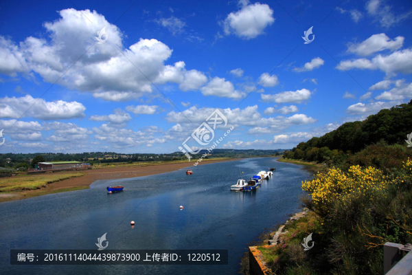 河口的場(chǎng)景
