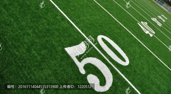 從美國(guó)足球場(chǎng)五十碼線的上方看