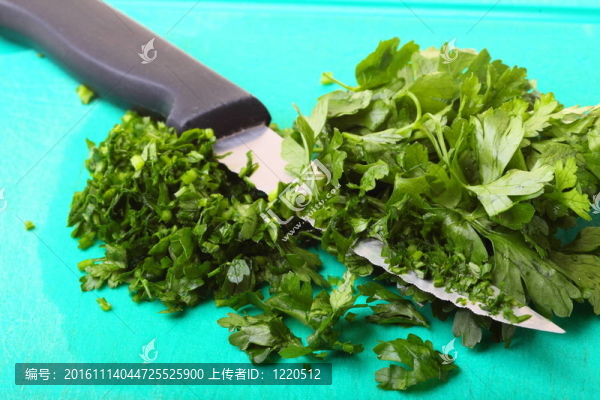 香菜背景小枝