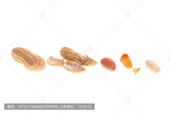 白花生