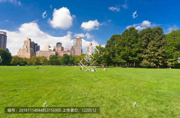 紐約的中央公園