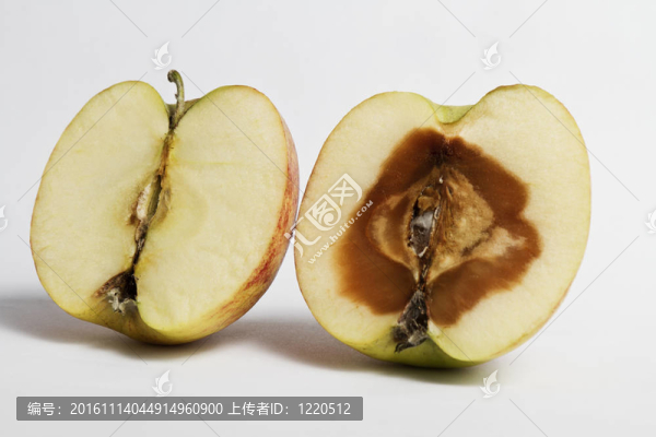 分蘋果
