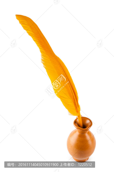 寫在白色背景上的羽毛