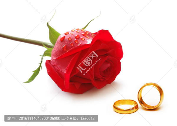 婚禮的概念與玫瑰和戒指