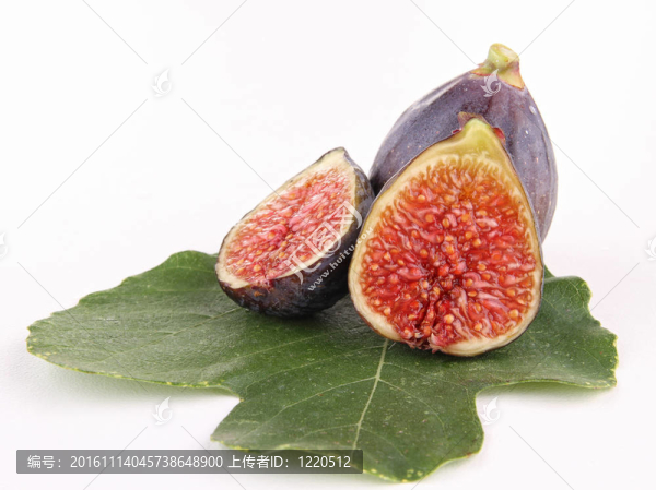 孤立的新鮮無花果
