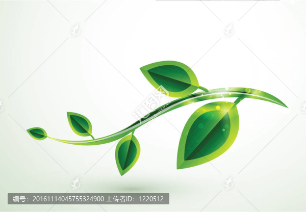 閃亮的綠葉