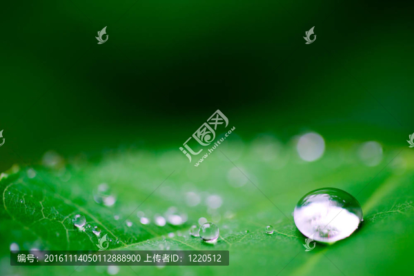 雨后