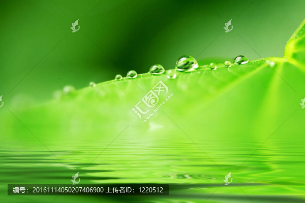 濕的自然背景