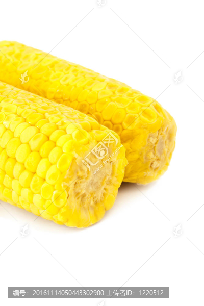 玉米