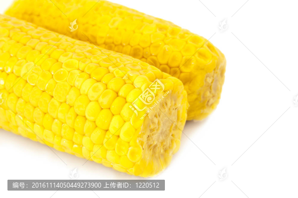 孤立的玉米