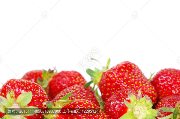 草莓