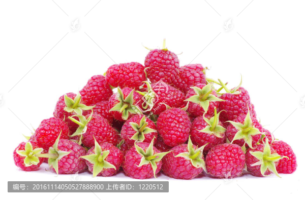 覆盆子
