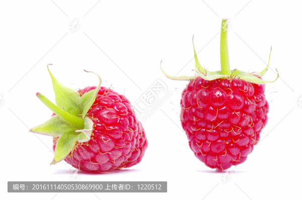 覆盆子