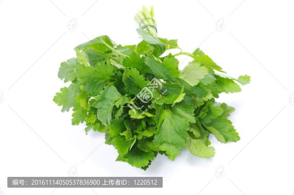 西芹