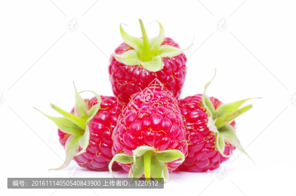 覆盆子