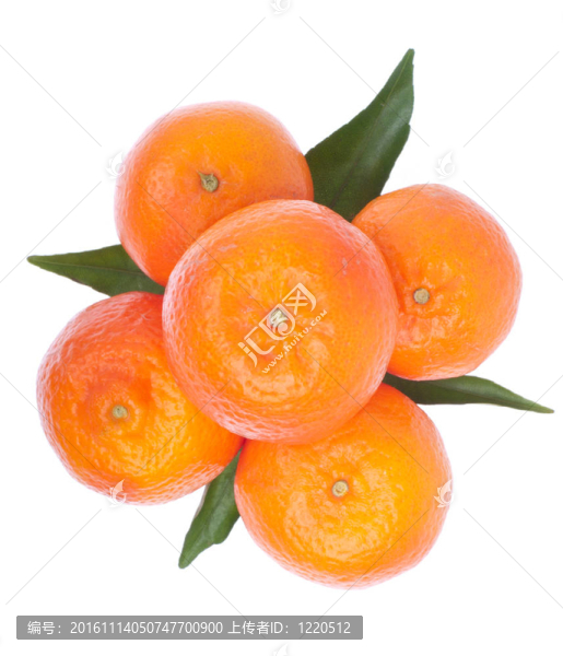 橘子