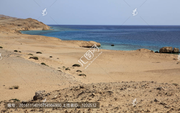 藍湖