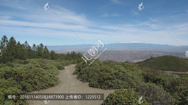 Los,Pinos蹤跡