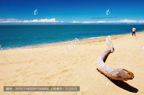 濱海景觀