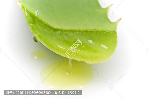 蘆薈