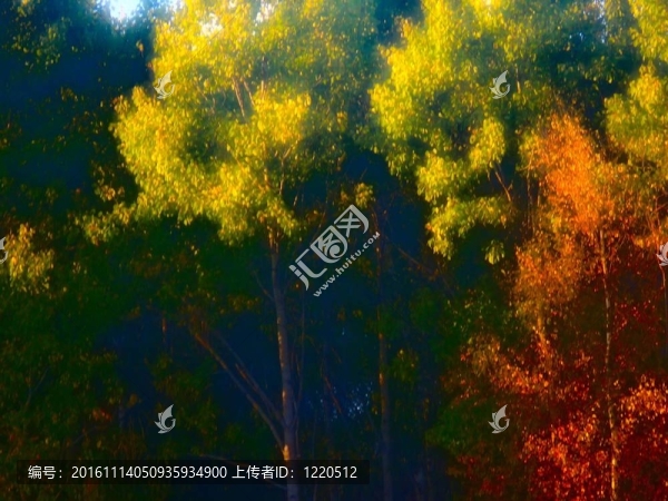 秋天的落葉。藝術(shù)。