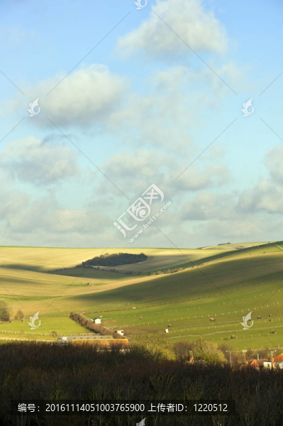 美麗的充滿(mǎn)活力的風(fēng)景滾動(dòng)英國(guó)農(nóng)村