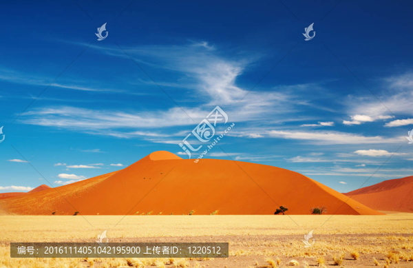 納米布沙漠